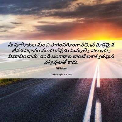 Picture 06 - 1 పేతురు పత్రిక 1:18 TELIRV - మీ పూర్వీకుల - Bible Verse Picture
