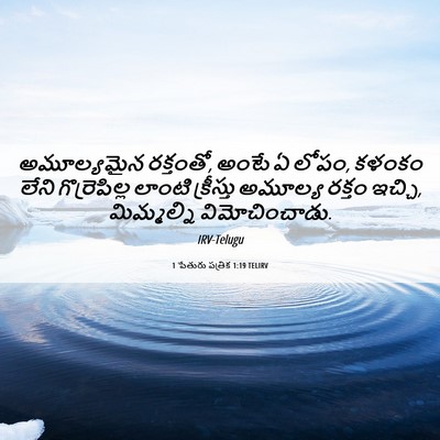 Picture 06 - 1 పేతురు పత్రిక 1:19 TELIRV - అమూల్యమైన - Bible Verse Picture