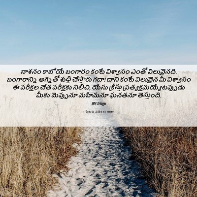 Picture 06 - 1 పేతురు పత్రిక 1:7 TELIRV - నాశనం కాబోయే - Bible Verse Picture