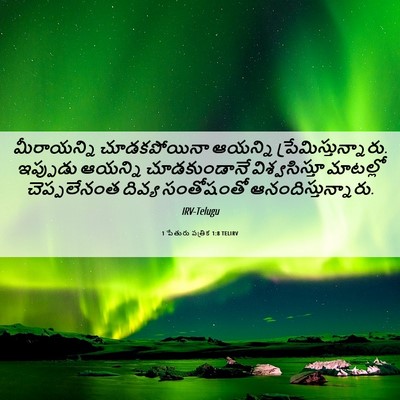Picture 06 - 1 పేతురు పత్రిక 1:8 TELIRV - మీరాయన్ని - Bible Verse Picture