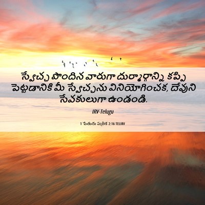 Picture 06 - 1 పేతురు పత్రిక 2:16 TELIRV - స్వేచ్ఛ పొందిన - Bible Verse Picture