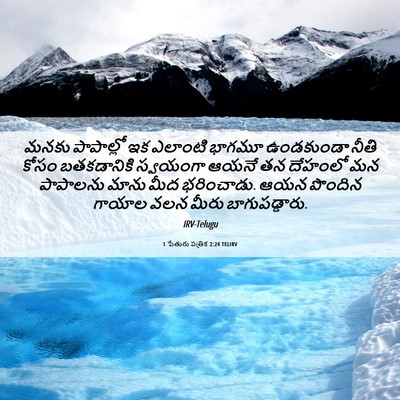 Picture 06 - 1 పేతురు పత్రిక 2:24 TELIRV - మనకు పాపాల్లో ఇక - Bible Verse Picture
