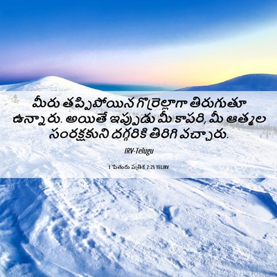 Picture 06 - 1 పేతురు పత్రిక 2:25 TELIRV - మీరు తప్పిపోయిన - Bible Verse Picture