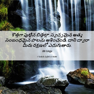Picture 06 - 1 పేతురు పత్రిక 2:3 TELIRV - కొత్తగా పుట్టిన - Bible Verse Picture