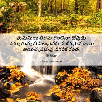 Picture 06 - 1 పేతురు పత్రిక 2:4 TELIRV - మనుషులు - Bible Verse Picture