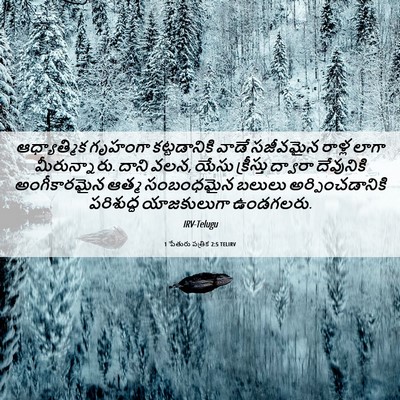 Picture 06 - 1 పేతురు పత్రిక 2:5 TELIRV - ఆధ్యాత్మిక గృహంగా - Bible Verse Picture