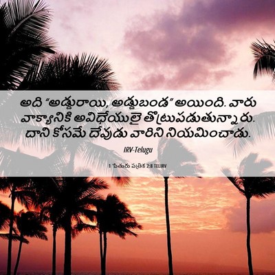 Picture 06 - 1 పేతురు పత్రిక 2:8 TELIRV - అది “అడ్డురాయి, - Bible Verse Picture