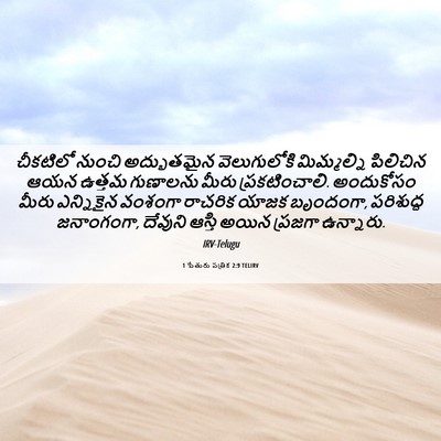 Picture 06 - 1 పేతురు పత్రిక 2:9 TELIRV - చీకటిలో నుంచి - Bible Verse Picture