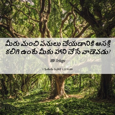 Picture 06 - 1 పేతురు పత్రిక 3:13 TELIRV - మీరు మంచి పనులు - Bible Verse Picture