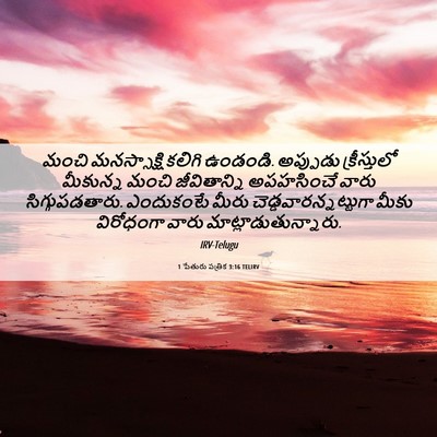 Picture 06 - 1 పేతురు పత్రిక 3:16 TELIRV - మంచి మనస్సాక్షి - Bible Verse Picture