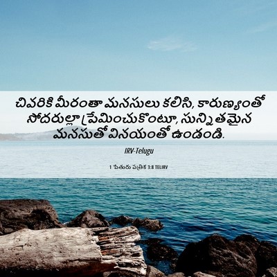 Picture 06 - 1 పేతురు పత్రిక 3:8 TELIRV - చివరికి మీరంతా - Bible Verse Picture