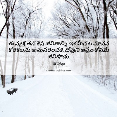 Picture 06 - 1 పేతురు పత్రిక 4:2 TELIRV - ఈ వ్యక్తి తన శేష - Bible Verse Picture