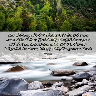 Picture 06 - 1 పేతురు పత్రిక 4:3 TELIRV - యూదేతరులు - Bible Verse Picture