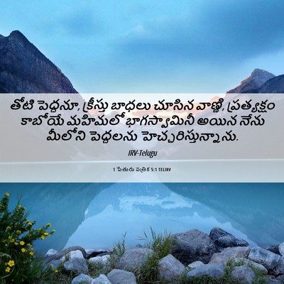 Picture 06 - 1 పేతురు పత్రిక 5:1 TELIRV - తోటి పెద్దనూ, - Bible Verse Picture
