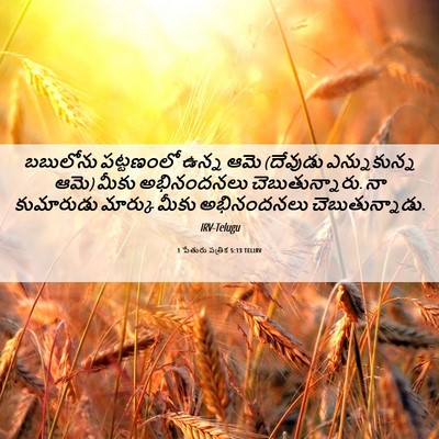 Picture 06 - 1 పేతురు పత్రిక 5:13 TELIRV - బబులోను పట్టణంలో - Bible Verse Picture