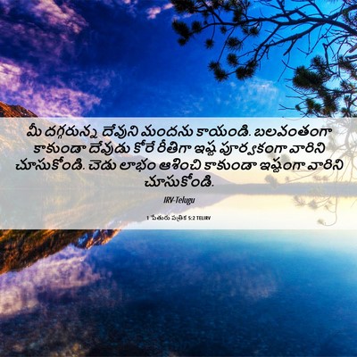 Picture 06 - 1 పేతురు పత్రిక 5:2 TELIRV - మీ దగ్గరున్న - Bible Verse Picture