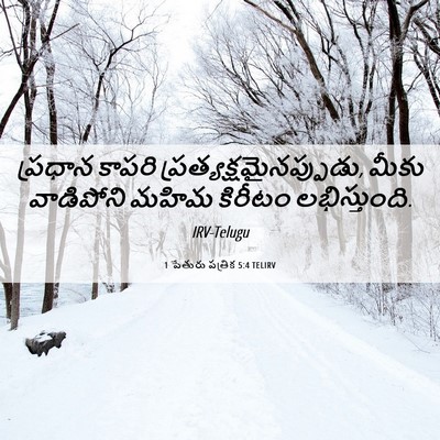 Picture 06 - 1 పేతురు పత్రిక 5:4 TELIRV - ప్రధాన కాపరి - Bible Verse Picture
