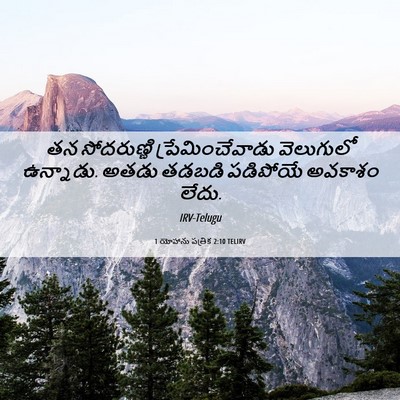 Picture 06 - 1 యోహాను పత్రిక 2:10 TELIRV - తన సోదరుణ్ణి - Bible Verse Picture
