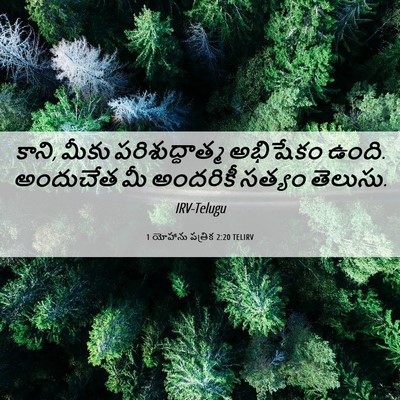 Picture 06 - 1 యోహాను పత్రిక 2:20 TELIRV - కాని, మీకు - Bible Verse Picture