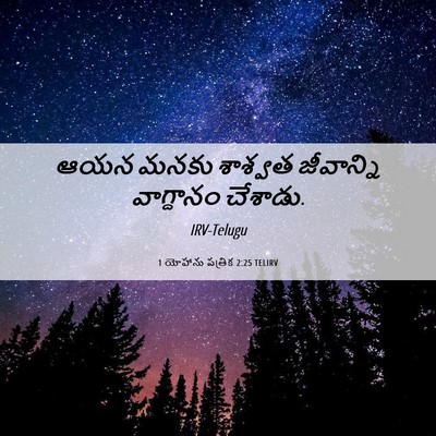 Picture 06 - 1 యోహాను పత్రిక 2:25 TELIRV - ఆయన మనకు శాశ్వత - Bible Verse Picture