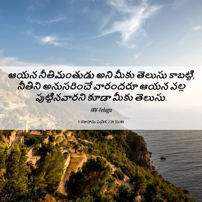 Picture 06 - 1 యోహాను పత్రిక 2:29 TELIRV - ఆయన నీతిమంతుడు - Bible Verse Picture