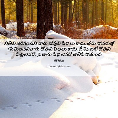 Picture 06 - 1 యోహాను పత్రిక 3:10 TELIRV - నీతిని జరిగించని - Bible Verse Picture