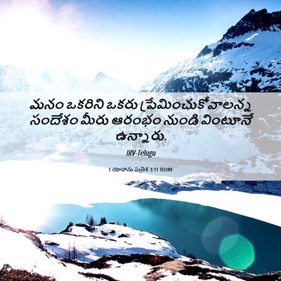Picture 06 - 1 యోహాను పత్రిక 3:11 TELIRV - మనం ఒకరిని ఒకరు - Bible Verse Picture