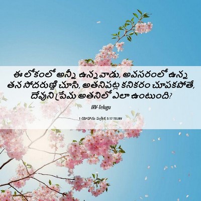 Picture 06 - 1 యోహాను పత్రిక 3:17 TELIRV - ఈ లోకంలో అన్నీ - Bible Verse Picture