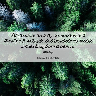 Picture 06 - 1 యోహాను పత్రిక 3:19 TELIRV - దీనివలన మనం సత్య - Bible Verse Picture