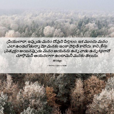 Picture 06 - 1 యోహాను పత్రిక 3:2 TELIRV - ప్రియులారా, - Bible Verse Picture