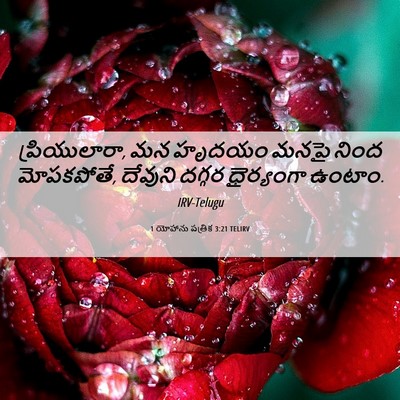 Picture 06 - 1 యోహాను పత్రిక 3:21 TELIRV - ప్రియులారా, మన - Bible Verse Picture