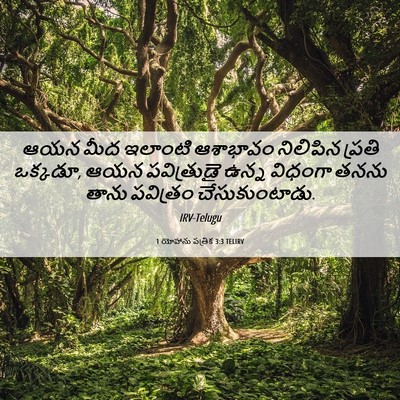 Picture 06 - 1 యోహాను పత్రిక 3:3 TELIRV - ఆయన మీద ఇలాంటి - Bible Verse Picture