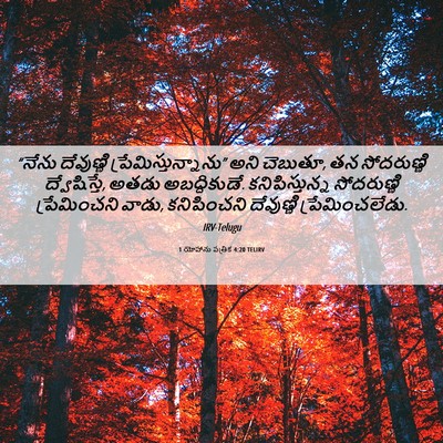 Picture 06 - 1 యోహాను పత్రిక 4:20 TELIRV - “నేను దేవుణ్ణి - Bible Verse Picture