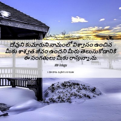 Picture 06 - 1 యోహాను పత్రిక 5:13 TELIRV - దేవుని కుమారుని - Bible Verse Picture