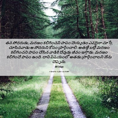 Picture 06 - 1 యోహాను పత్రిక 5:16 TELIRV - తన సోదరుడు, మరణం - Bible Verse Picture