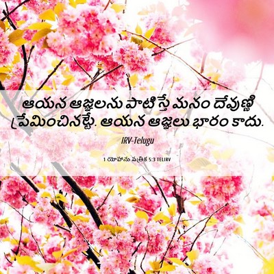 Picture 06 - 1 యోహాను పత్రిక 5:3 TELIRV - ఆయన ఆజ్ఞలను - Bible Verse Picture
