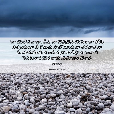 Picture 06 - 1 రాజులు 1:17 TELIRV - “నా యేలిన వాడా, - Bible Verse Picture