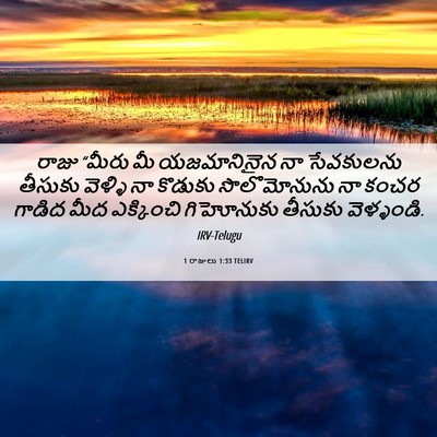 Picture 06 - 1 రాజులు 1:33 TELIRV - రాజు “మీరు మీ - Bible Verse Picture