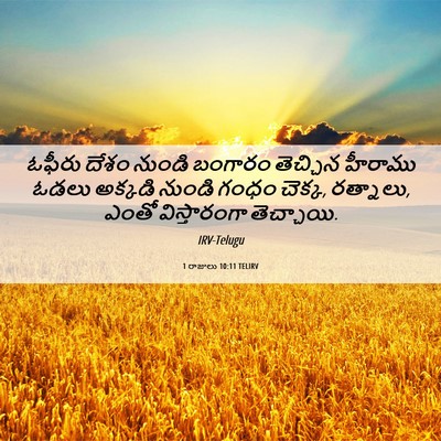 Picture 06 - 1 రాజులు 10:11 TELIRV - ఓఫీరు దేశం నుండి - Bible Verse Picture