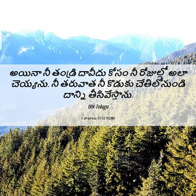 Picture 06 - 1 రాజులు 11:12 TELIRV - అయినా నీ తండ్రి - Bible Verse Picture