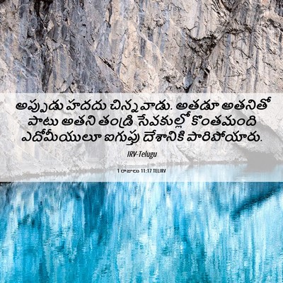 Picture 06 - 1 రాజులు 11:17 TELIRV - అప్పుడు హదదు - Bible Verse Picture