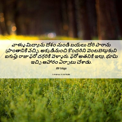 Picture 06 - 1 రాజులు 11:18 TELIRV - వాళ్ళు మిద్యాను - Bible Verse Picture