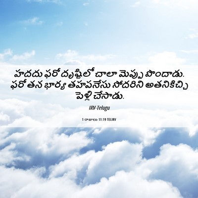 Picture 06 - 1 రాజులు 11:19 TELIRV - హదదు ఫరో దృష్టిలో - Bible Verse Picture