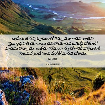 Picture 06 - 1 రాజులు 11:21 TELIRV - దావీదు తన - Bible Verse Picture