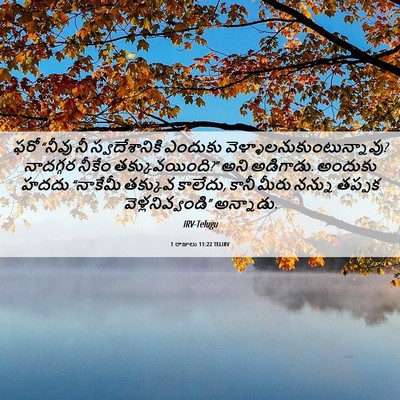 Picture 06 - 1 రాజులు 11:22 TELIRV - ఫరో “నీవు నీ - Bible Verse Picture