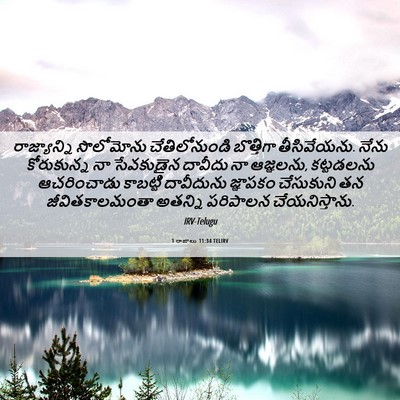 Picture 06 - 1 రాజులు 11:34 TELIRV - రాజ్యాన్ని - Bible Verse Picture