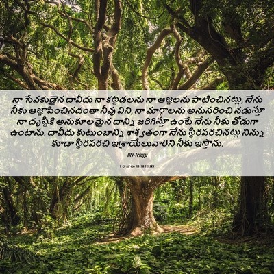 Picture 06 - 1 రాజులు 11:38 TELIRV - నా సేవకుడైన - Bible Verse Picture
