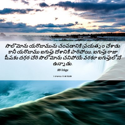 Picture 06 - 1 రాజులు 11:40 TELIRV - సొలొమోను - Bible Verse Picture