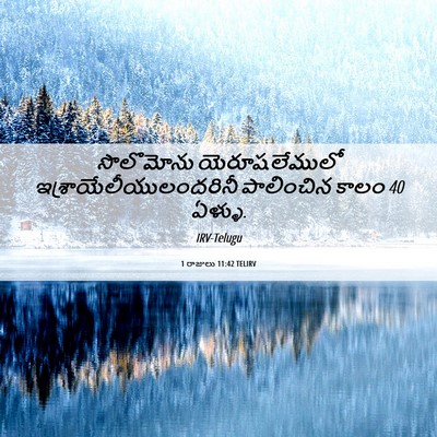 Picture 06 - 1 రాజులు 11:42 TELIRV - సొలొమోను - Bible Verse Picture