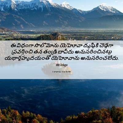 Picture 06 - 1 రాజులు 11:6 TELIRV - ఈ విధంగా సొలొమోను - Bible Verse Picture